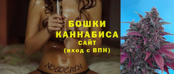 соль ск Каменногорск
