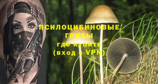 дмт Алзамай