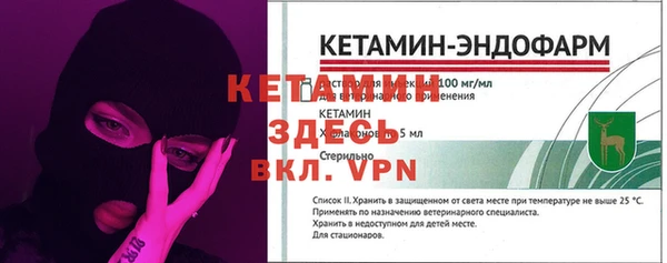 дмт Алзамай