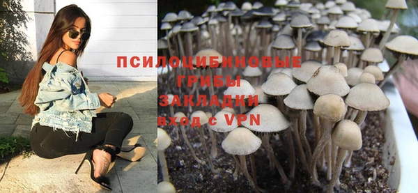 МДПВ Абаза