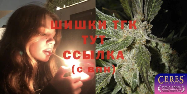 дмт Алзамай