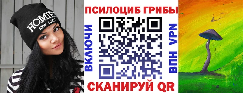 сколько стоит  дарк нет как зайти  Псилоцибиновые грибы ЛСД  Вышний Волочёк 