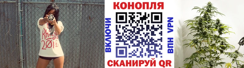 Бошки марихуана VHQ Вышний Волочёк